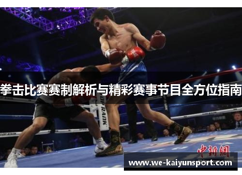 拳击比赛赛制解析与精彩赛事节目全方位指南